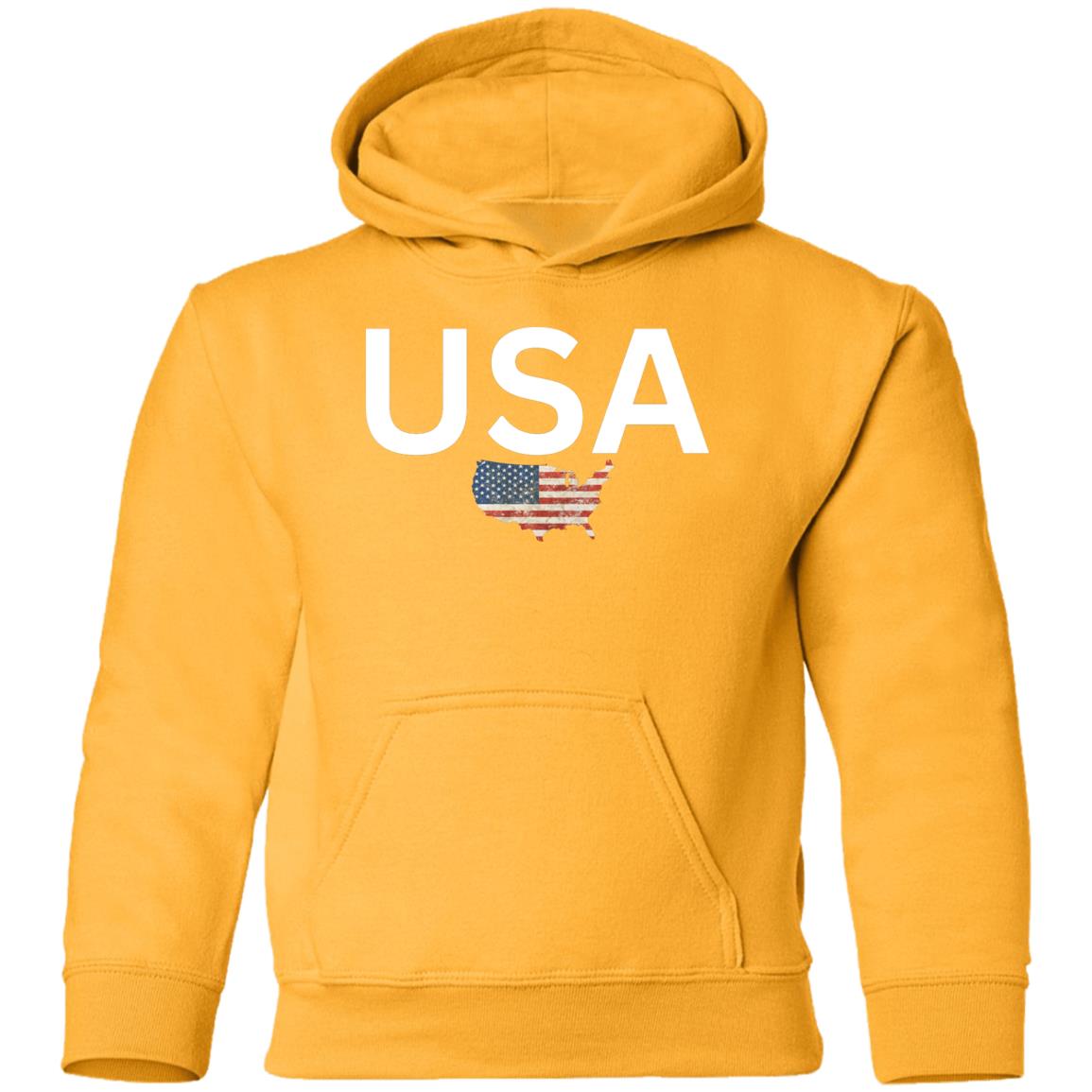 USA states flag G185B Youth Pullover Hoodie